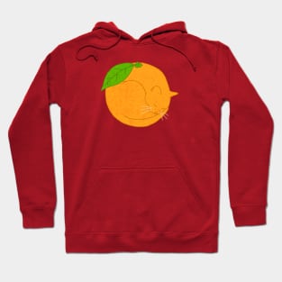 Orange Cat Hoodie